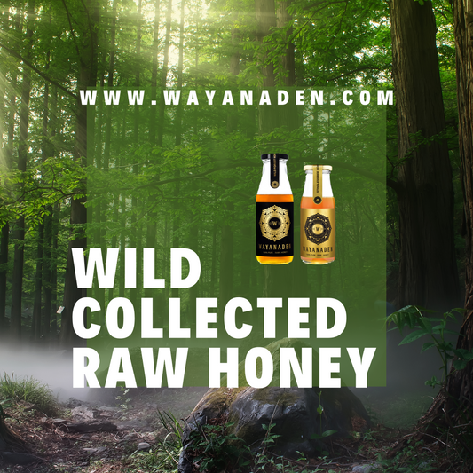 RAW HONEY / FOREST HONEY / PURE HONEY WWW.WAYANADEN.COM