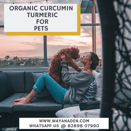 Organic Curcumin Turmeric For Dogs and other animals WWW.WAYANADEN.COM