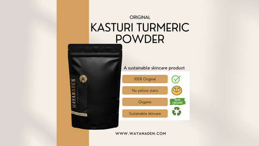 ORIGINAL KASTURI TURMERIC | WILD TURMERIC | CURCUMA AROMATICA | WWW.WAYANADEN.COM