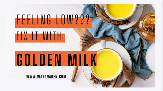 GOLDEN TURMERIC MILK | WWW.WAYANADEN.COM