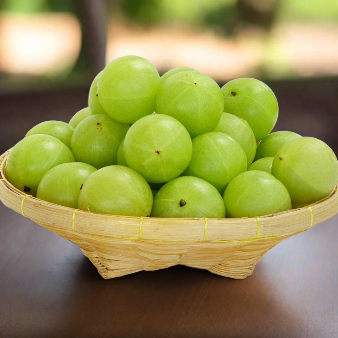 AMLA CANDY | HEALTHY SNACK | INDIAN GOOSEBERRY | WWW.WAYANADEN.COM