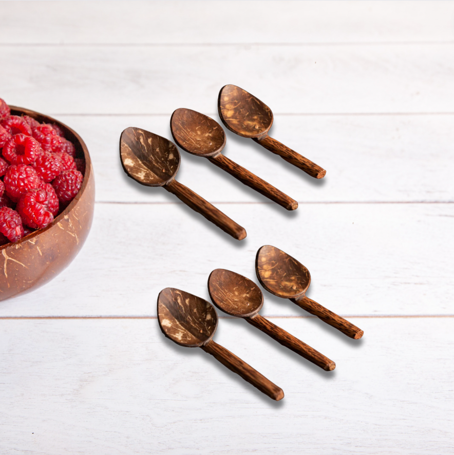 COCONUT SHELL MASALA SPOON (SET OF 6)