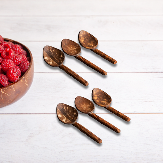 COCONUT SHELL MASALA SPOON (SET OF 6) (prepaid only)