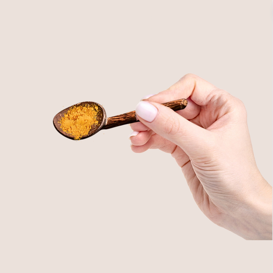 COCONUT SHELL MASALA SPOON (SET OF 6) (prepaid only)