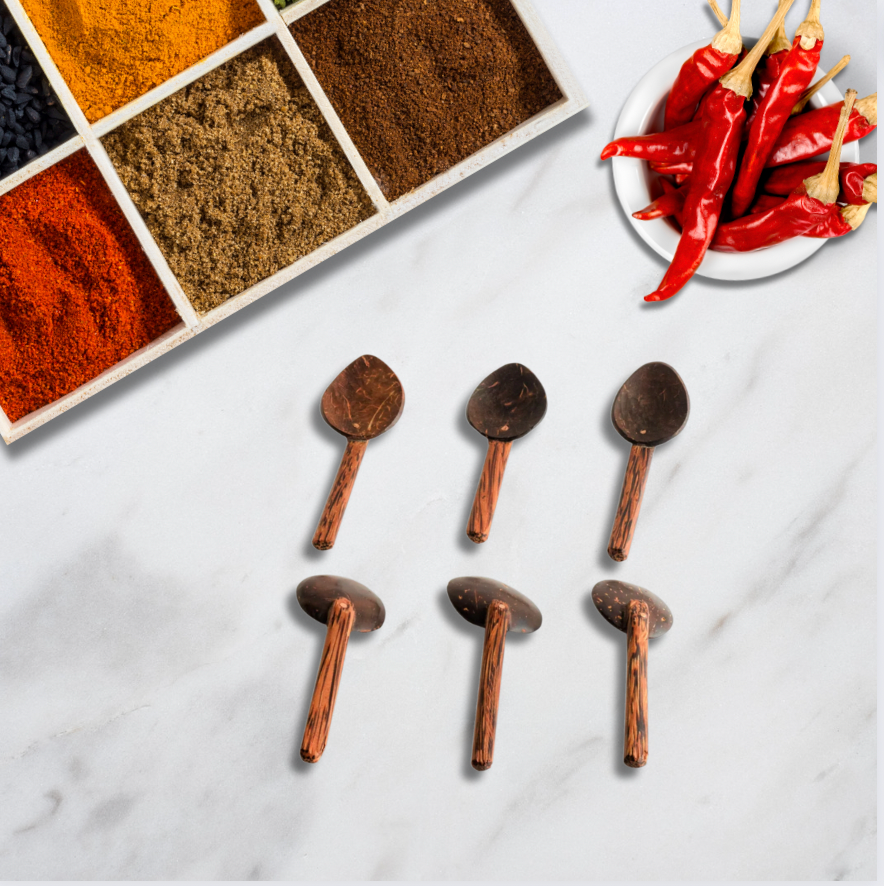 COCONUT SHELL MASALA SPOON (SET OF 6) (prepaid only)