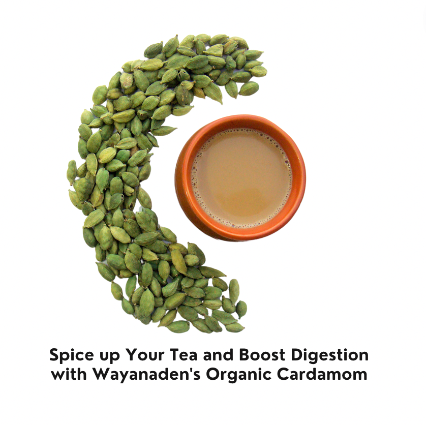 Organic Cardamom | Elaichi | WWW.WAYANADEN.COM