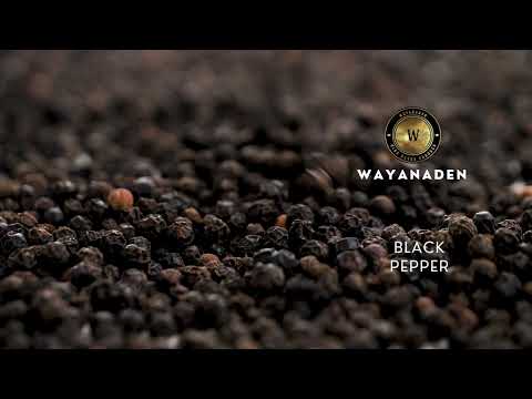 Organic Black Pepper | TGSEB Grade Black Pepper | Tellicherry Pepper | Kerala Pepper | WWW.WAYANADEN.COM