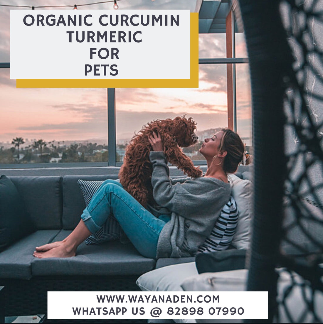 Organic Curcumin Turmeric For Dogs and other animals WWW.WAYANADEN.COM