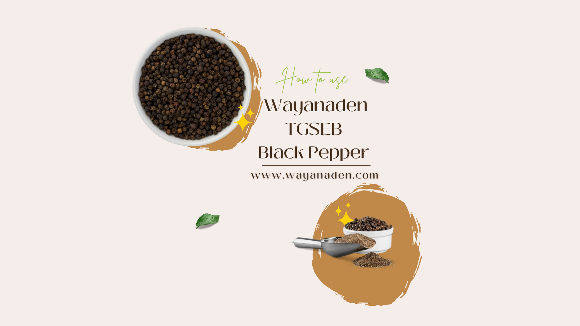 What is Black Pepper, and How to Use It.