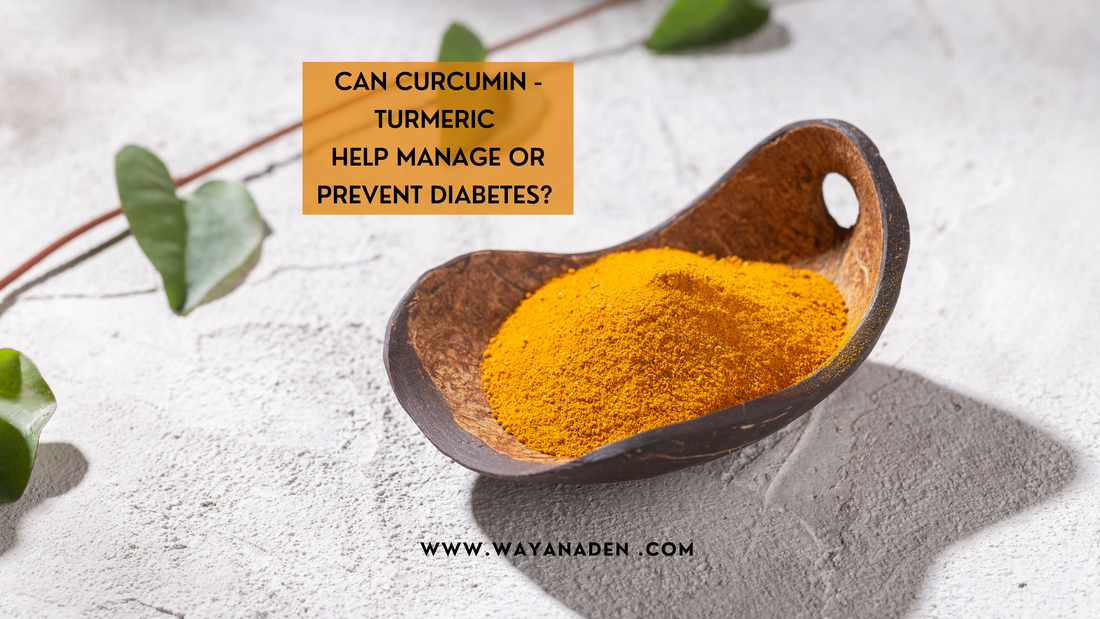 Can Curcumin - Turmeric Help Manage or Prevent Diabetes?