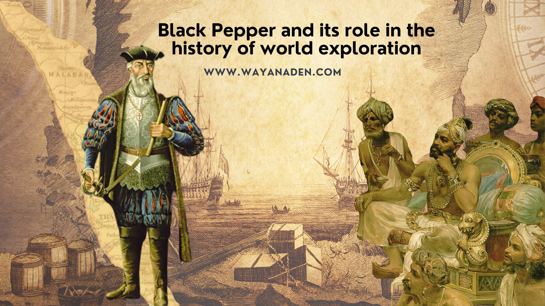 Black pepper and its role in the history of world exploration | Tellicherry pepper | www.wayanaden.com