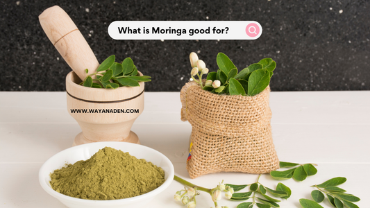 Moringa Powder | Moringa | Organic Moringa Powder | WWW.WAYANADEN.COM