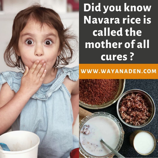 Navara Rice | Njavara Rice | Medicinal Rice | WWW.WAYANADEN.COM