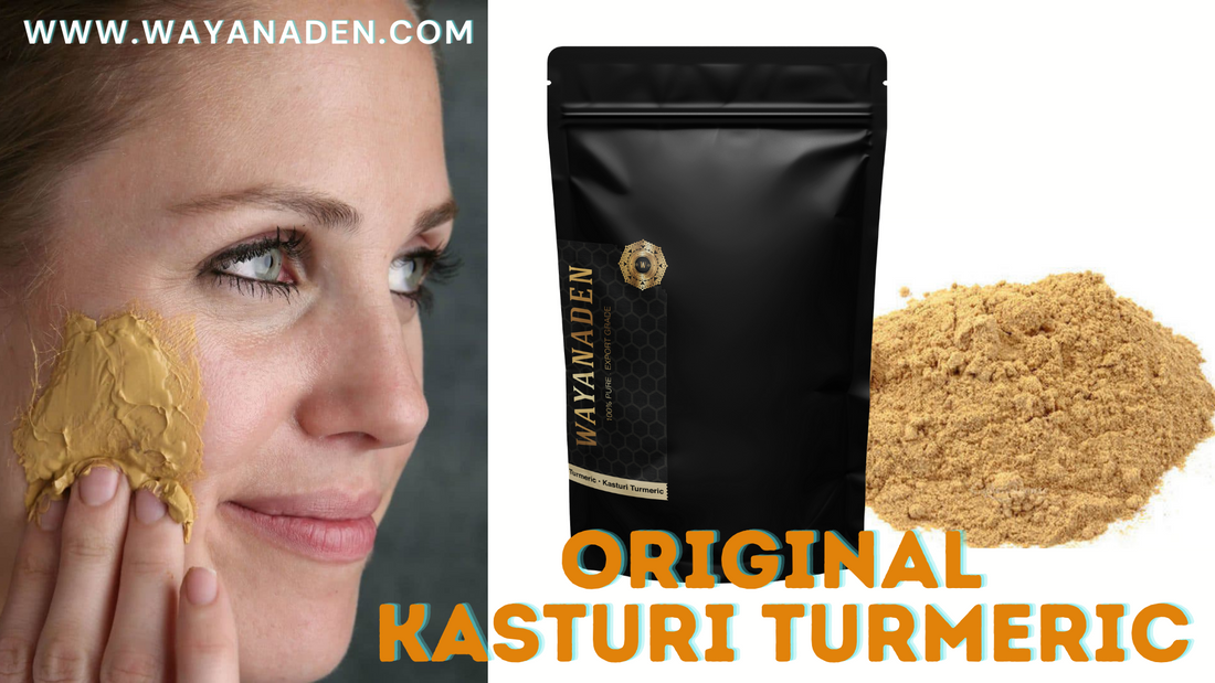 Original Kasturi Turmeric | Curcuma aromatica | Musk Turmeric | Wild Turmeric - WWW.WAYANADEN.COM