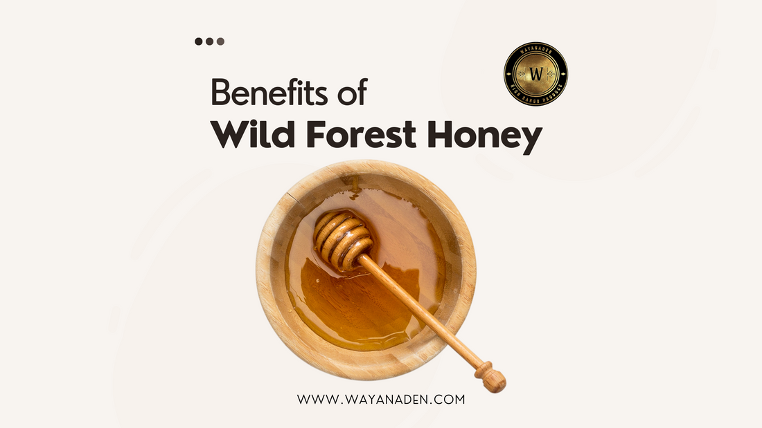WILD FOREST HONEY | PURE HONEY | WWW.WAYANADEN.COM