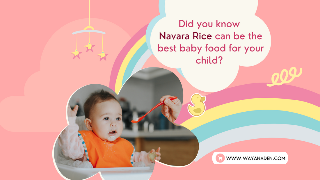 Navara Rice | Njavara Rice | Shashtika Rice | Authentic Kerala Navara | Navara Red Rice | Medicinal Rice | WWW.WAYANADEN.COM