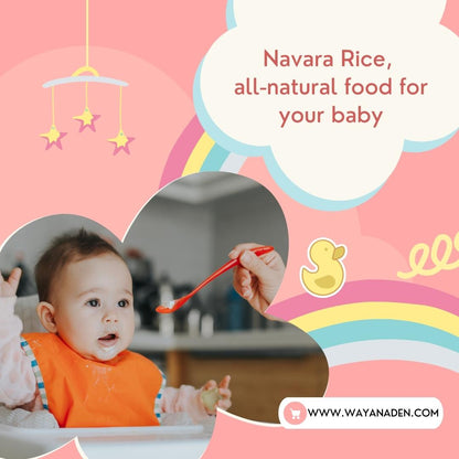ORGANIC NAVARA RICE | SASTIKA RICE | MEDICINAL RICE | WWW.WAYANADEN.COM | baby food